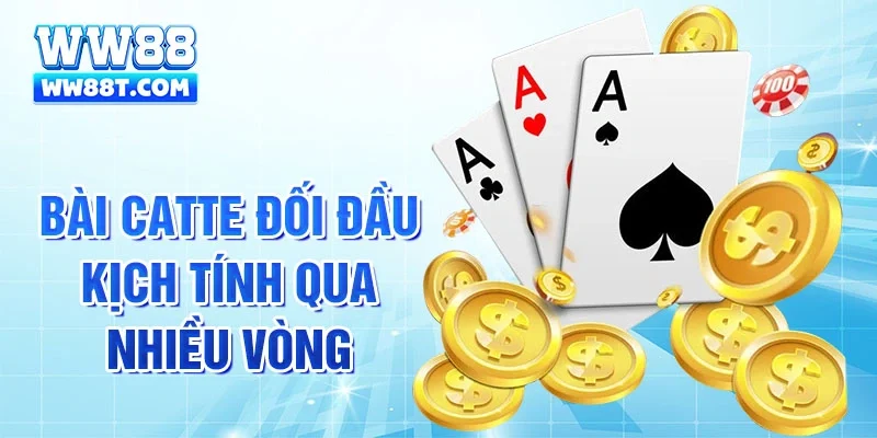Bài Catte đối đầu kịch tính qua nhiều vòng